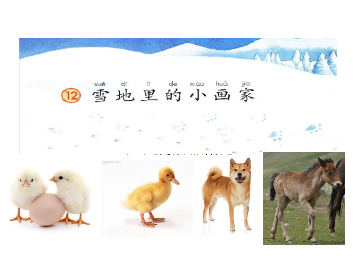 [课件]12.雪地里的小画家