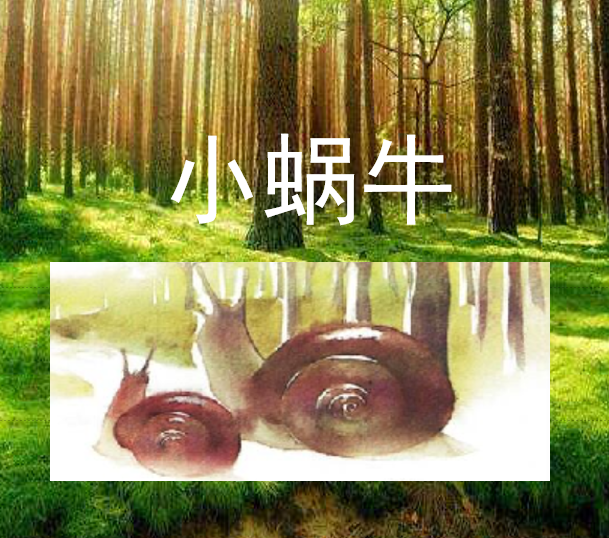 [课件]14.小画家