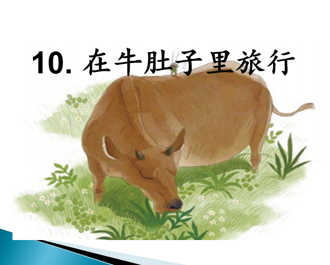 [课件]10.在牛肚子里旅行