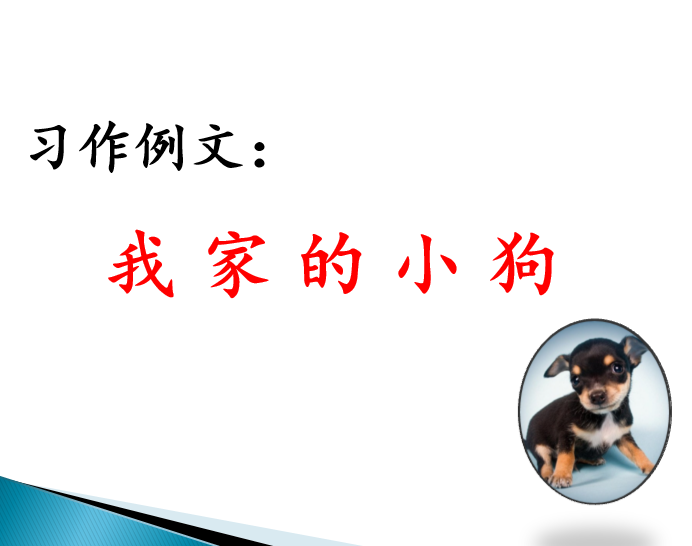 [课件]习作例文：我家的小狗