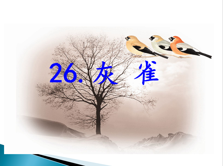 [课件]26灰雀