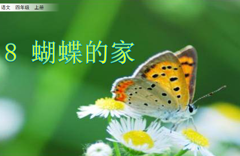 [课件]8 蝴蝶的家