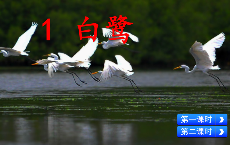 [课件]1 白鹭