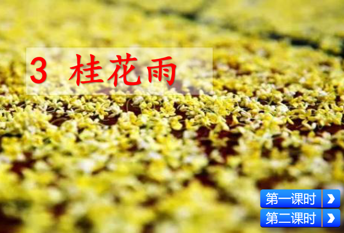[课件]3 桂花雨