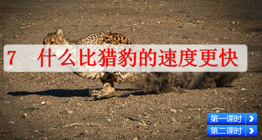 [课件]7 什么比猎豹的速度更快