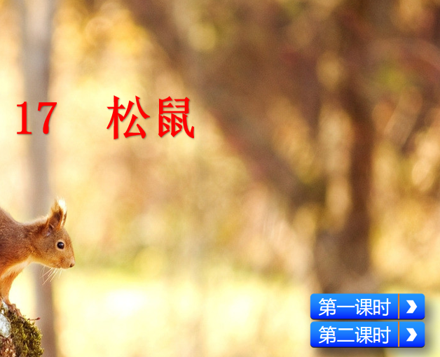 [课件]17 松鼠