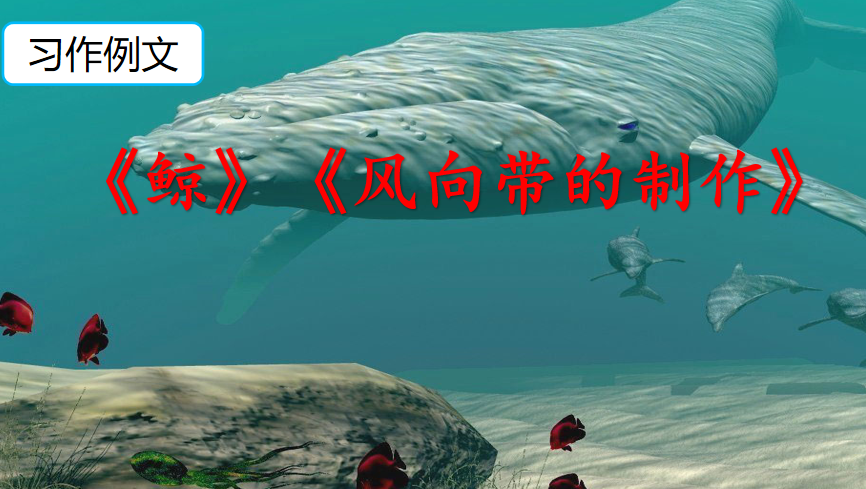 [课件]习作例文：《鲸》《风向袋的制作》