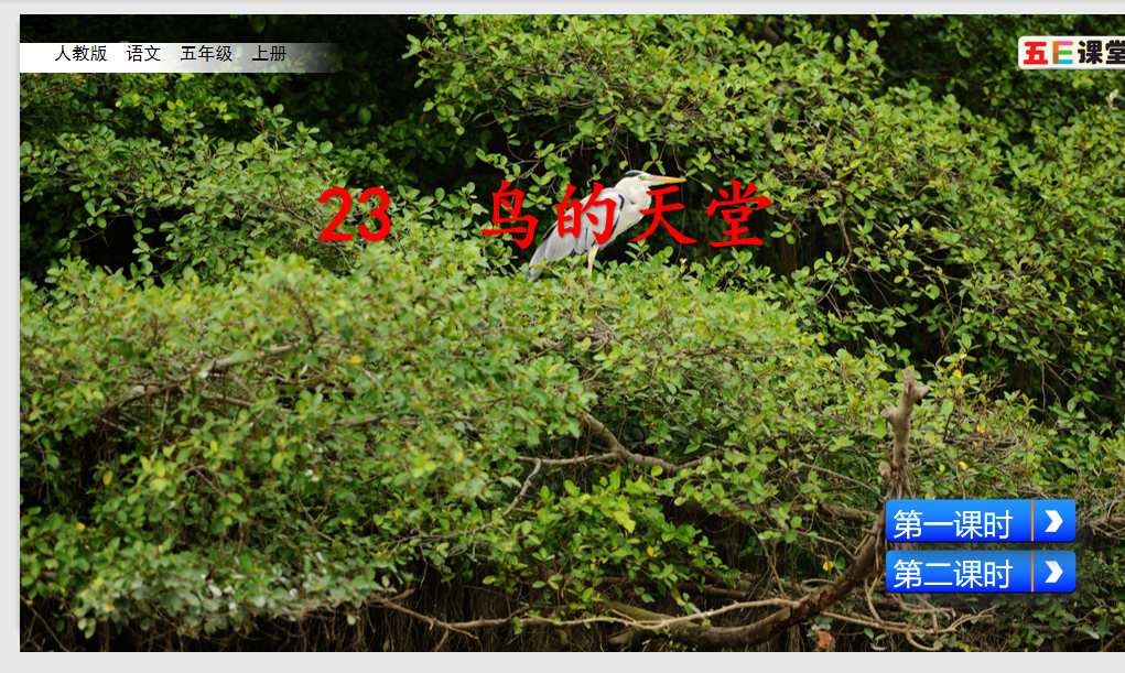 [课件]23 鸟的天堂