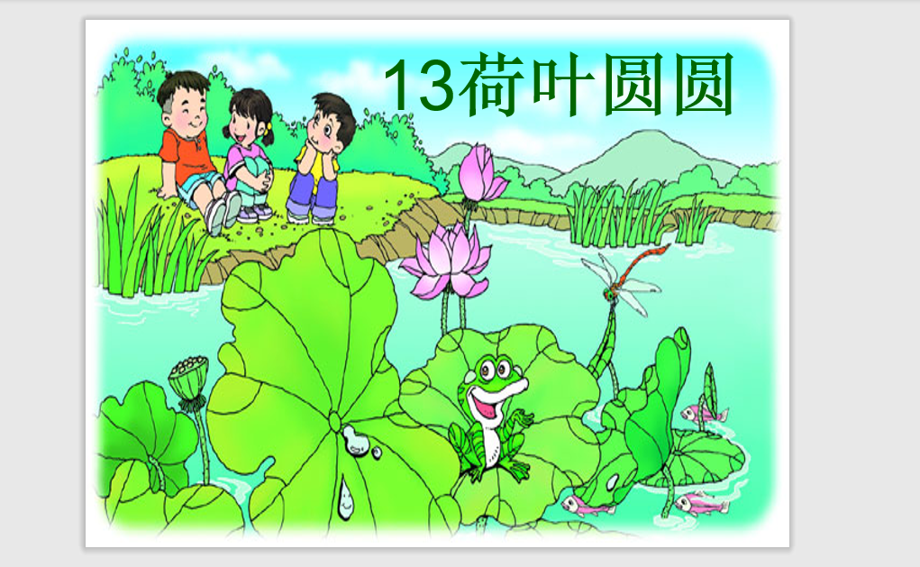 [课件]13.荷叶圆圆