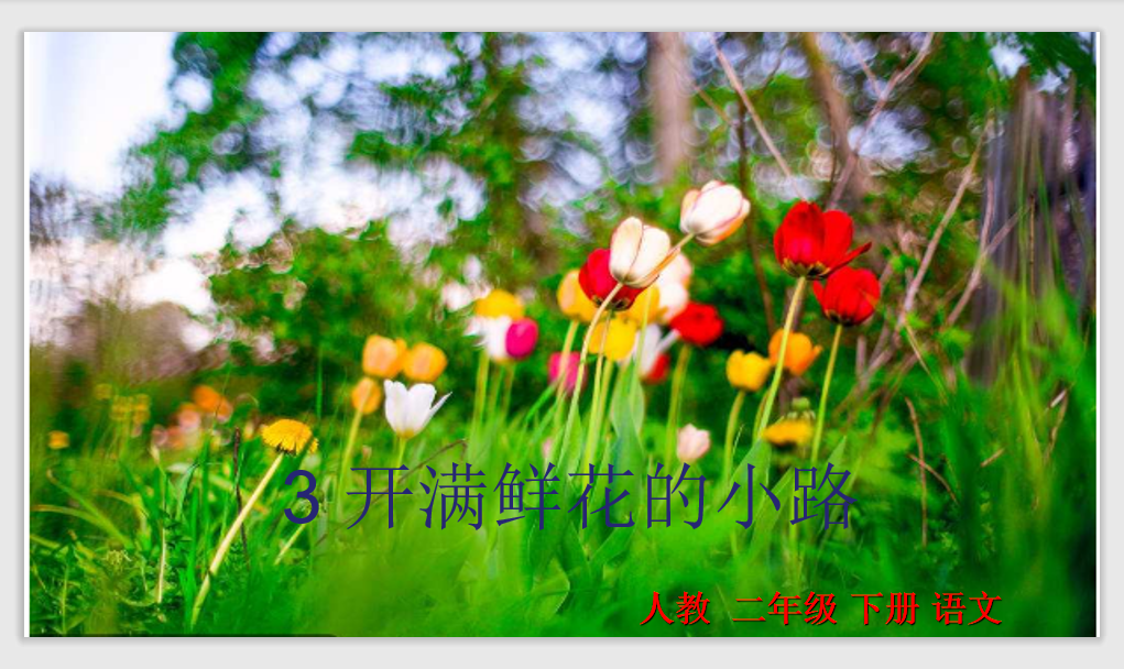 [课件]3.开满鲜花的小路
