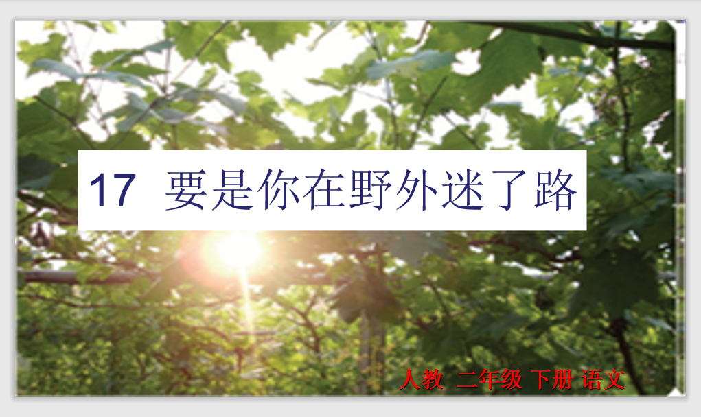 [课件]17.要是你在野外迷了路
