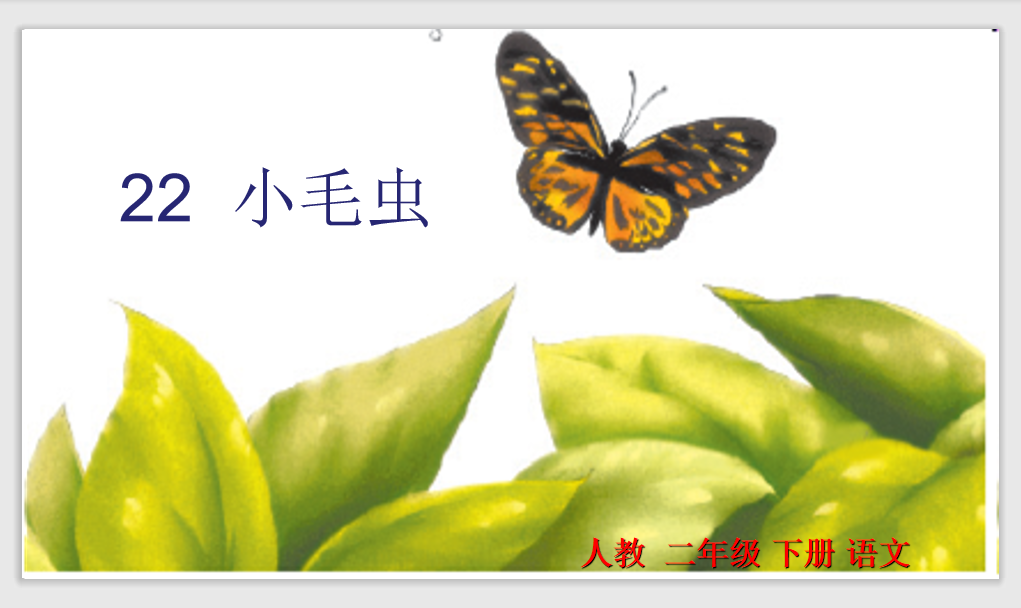 [课件]22 小毛虫