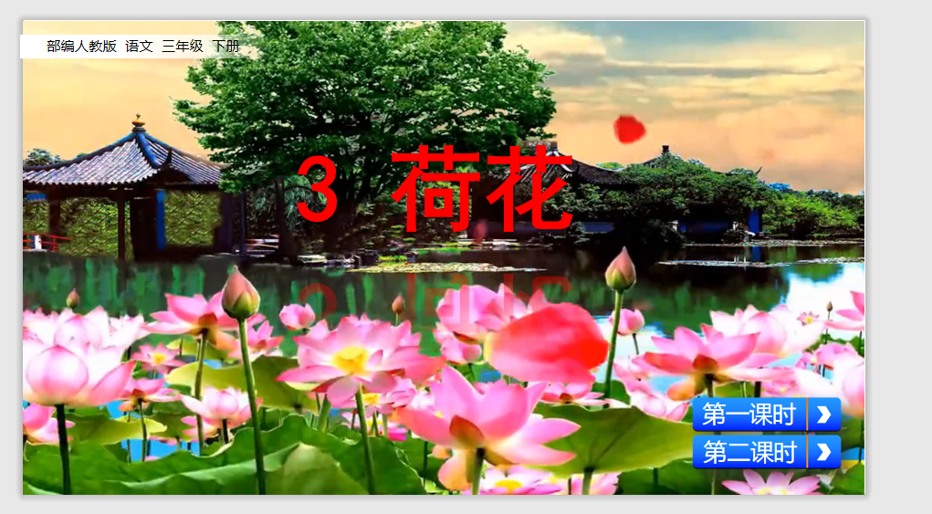 [课件]3 荷花