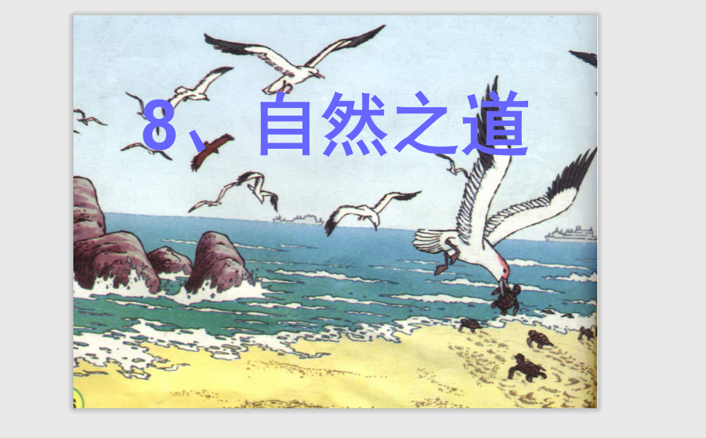 [课件]9 自然之道