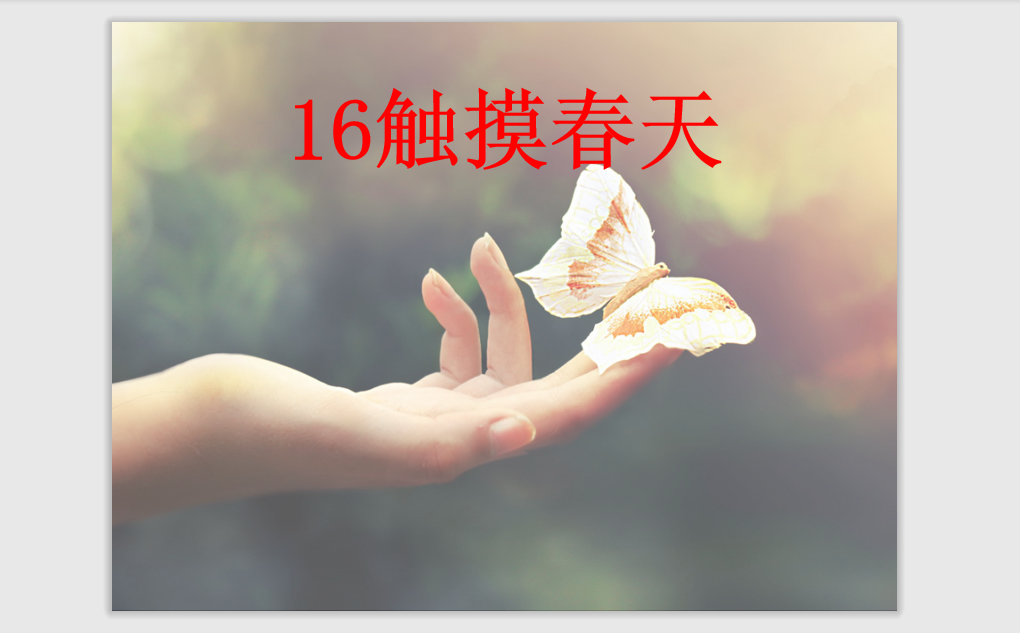 [课件]17 触摸春天