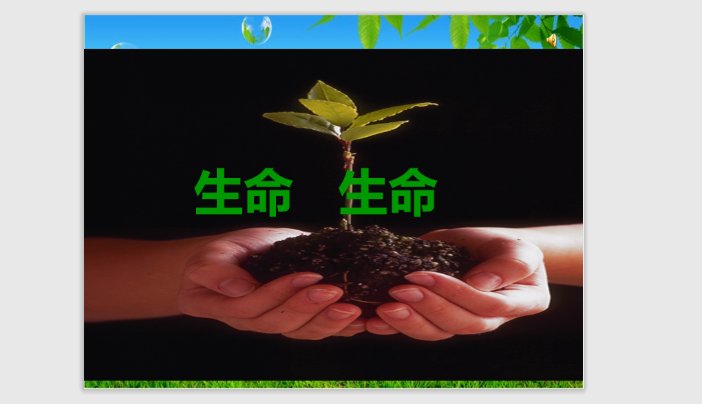 [课件]19生命 生命