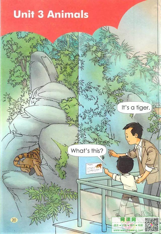 网课网