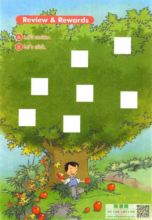 网课网
