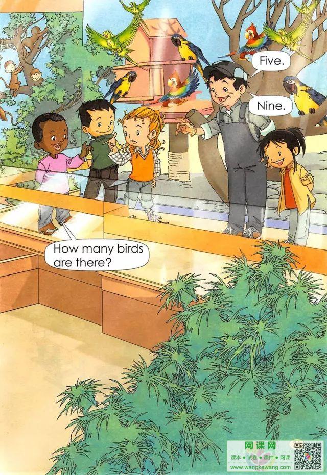 网课网